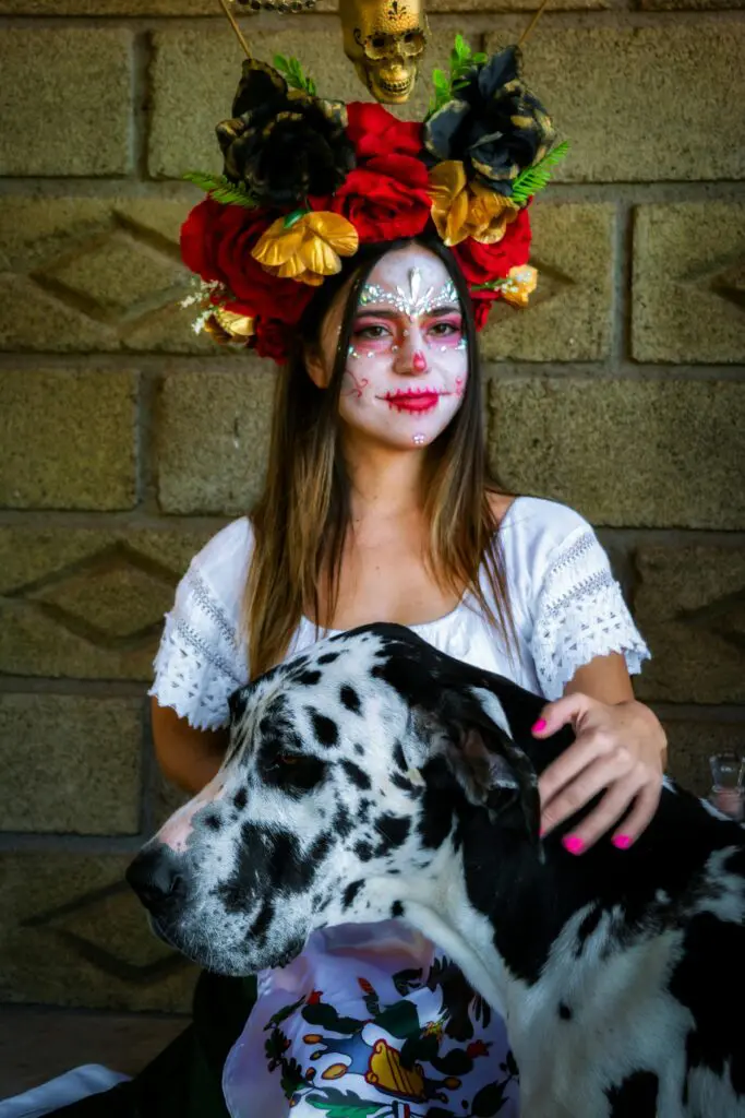 Spooky Halloween with Dogs: Fun Costumes, Candy, and Chaos