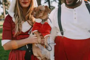 Holiday Hazards: Dangerous Foods, Decorations, and More