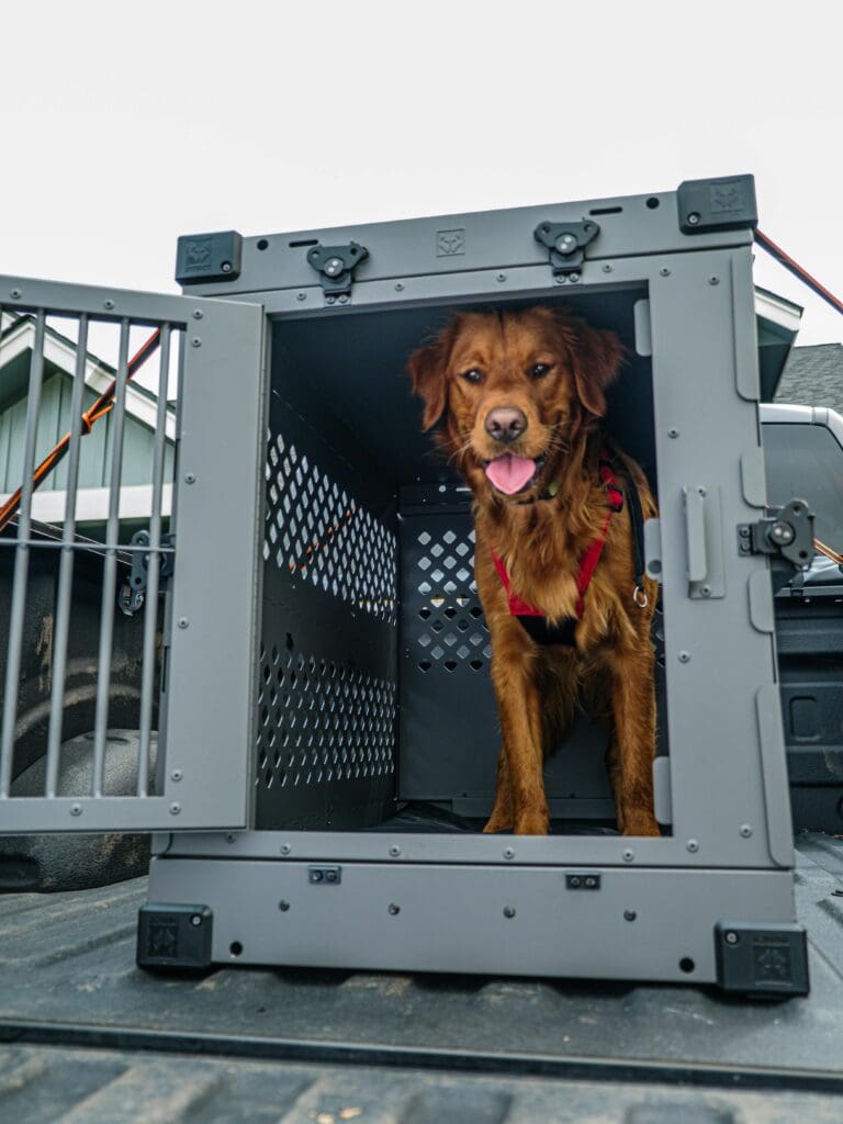 Holiday Season: Amazing Dog Travel Tips Every Owner Needs