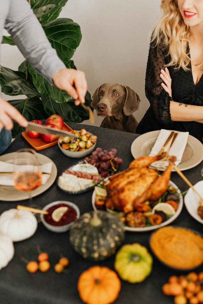 Thanksgiving Table Rules for Dogs: For a Happy Holiday