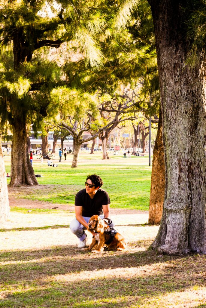 The Complete New Year’s Guide to Successful Training for Your Dog in 2026