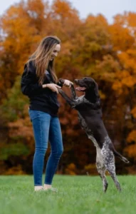 Katie — Off Leash K9 Training of Grand Rapids